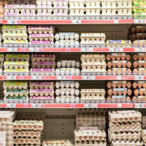 FDA Egg Recall Risks 'Serious' Health Consequences Recipe Heaven