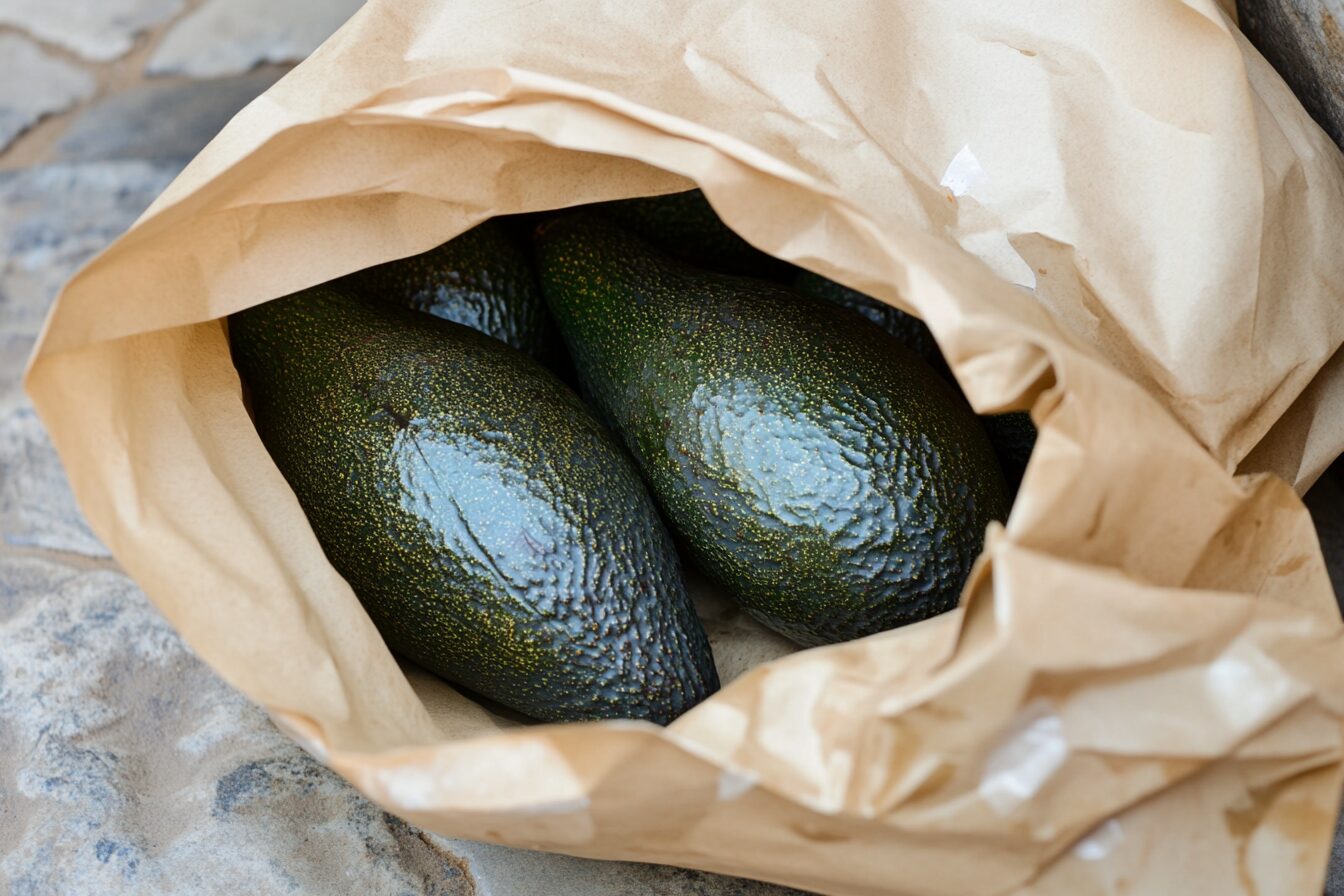 Easy Ways To Ripen An Avocado Faster - Recipe Heaven