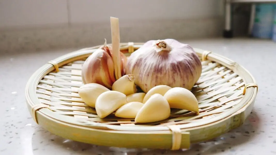 garlic ( da suan )