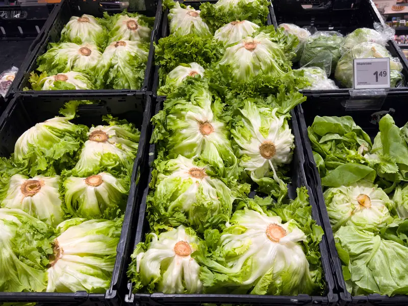 Fresh iceberg lettuce display in grocery store produce section