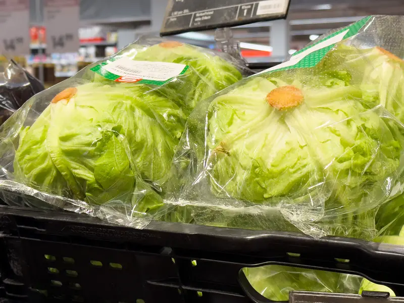 Fresh iceberg lettuce wrapped in plastic at supermarket display