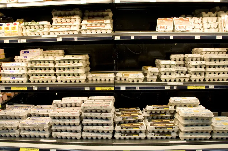 Eggs on store shelves