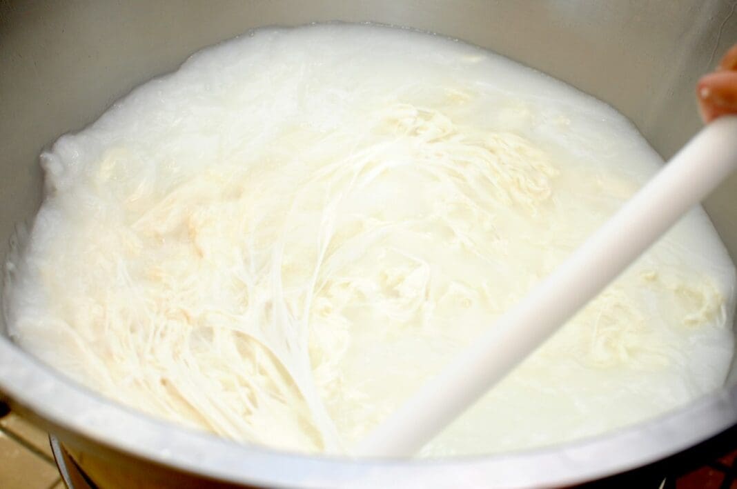 Handcrafted and traditional processing of real mozzarella from southern Italy. The mozzarella production process uses a method called 